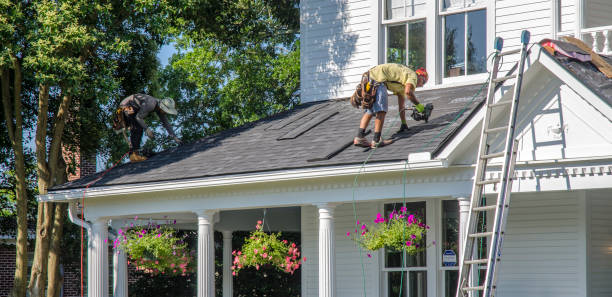 Best Roof Gutter Cleaning  in Bellevue, ID